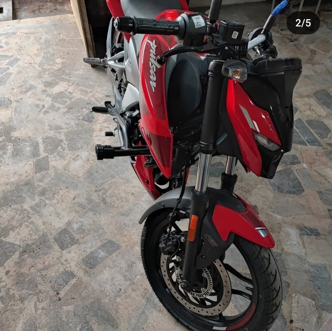 BAJAJ PULSAR N160-250 KORUMA DEMİRİ